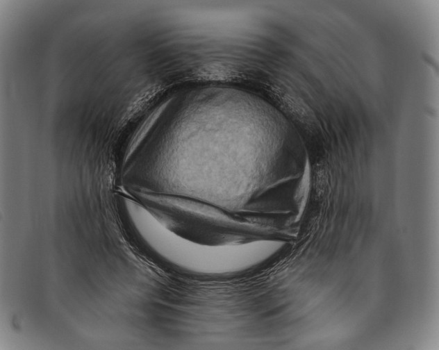 X0000097830544200804041423