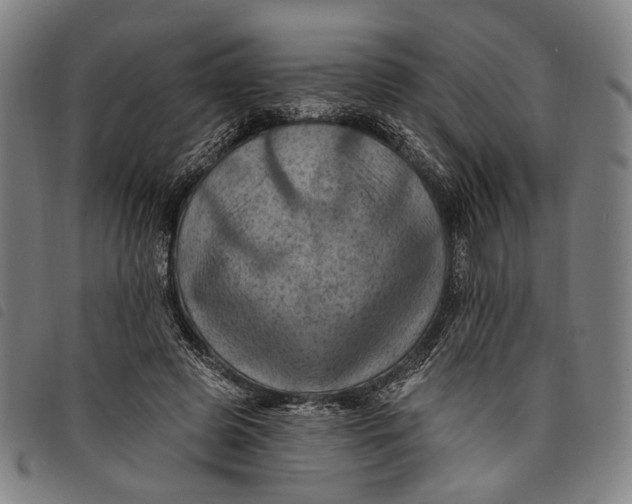 X0000097830545200804041423