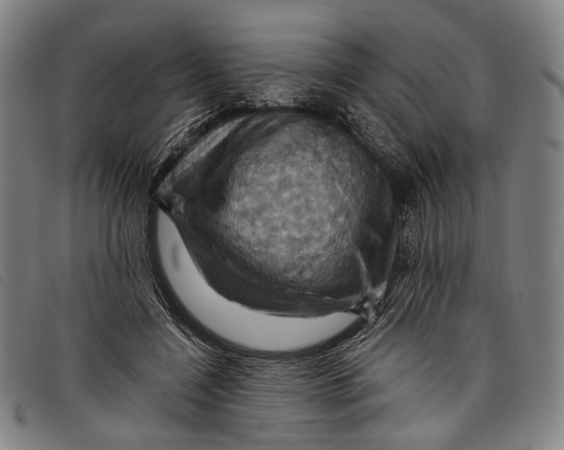 X0000097830548200804041423