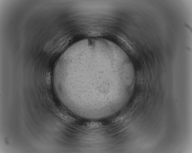 X0000097830549200804041423