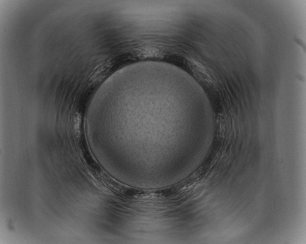 X0000097830550200804041423