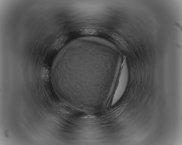 X0000097830551200804041423