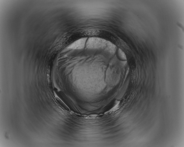 X0000097830553200804041423