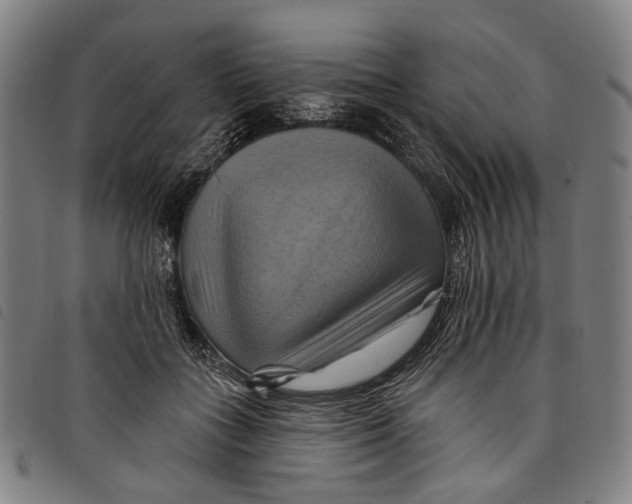 X0000097830555200804041423