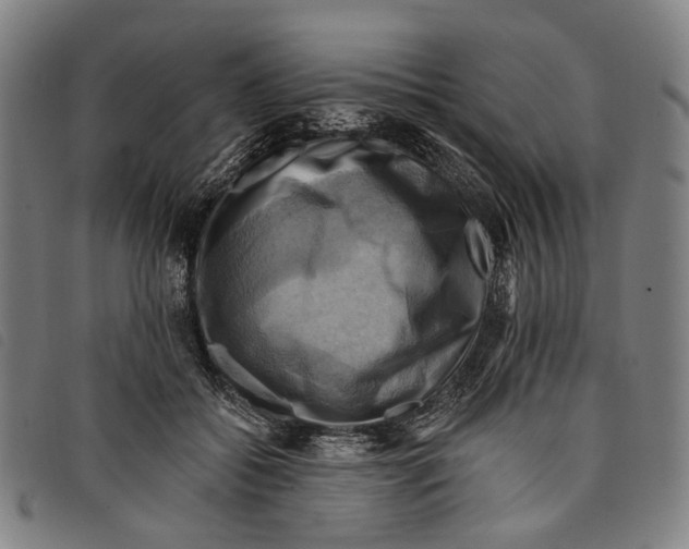 X0000097830556200804041423