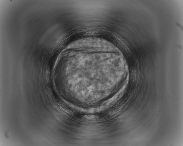 X0000097830557200804041423