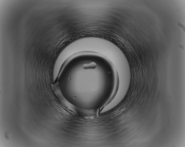 X0000097830558200804041423