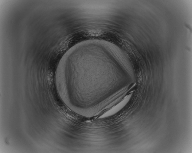 X0000097830559200804041423