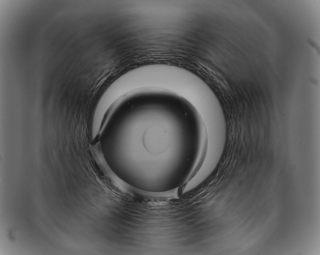 X0000097830560200804041423