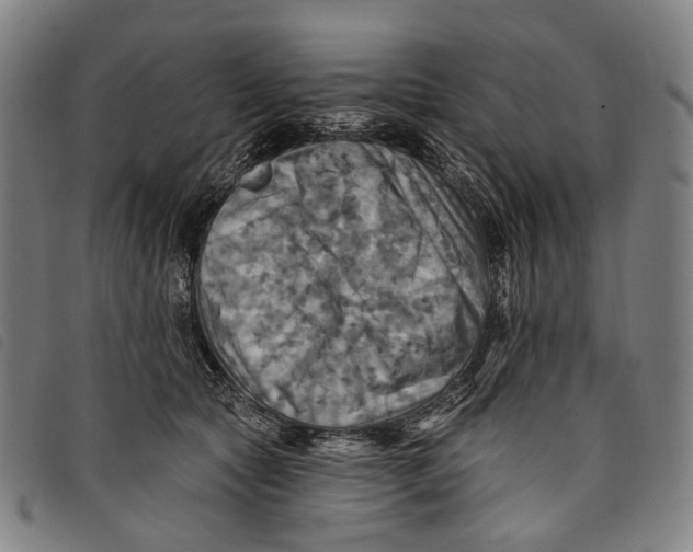 X0000097830561200804041423