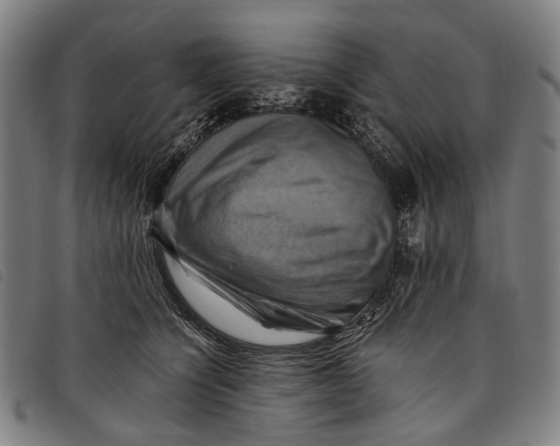 X0000097830564200804041423