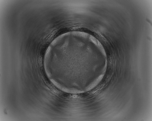 X0000097830565200804041423