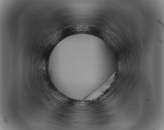 X0000097830567200804041423