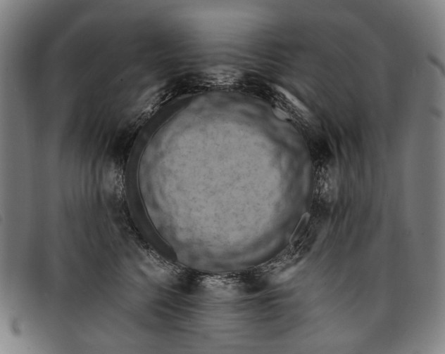 X0000097830568200804041424