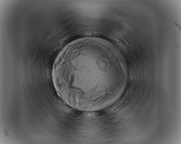 X0000097830569200804041424