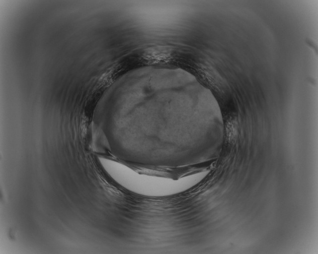 X0000097830570200804041424