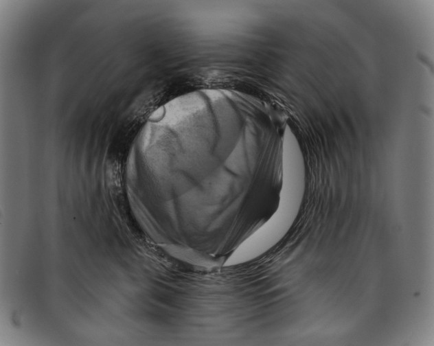 X0000097830571200804041424