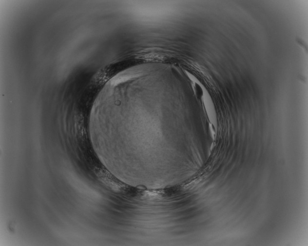 X0000097830573200804041424