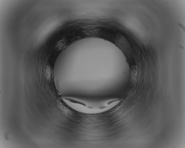 X0000097830574200804041424