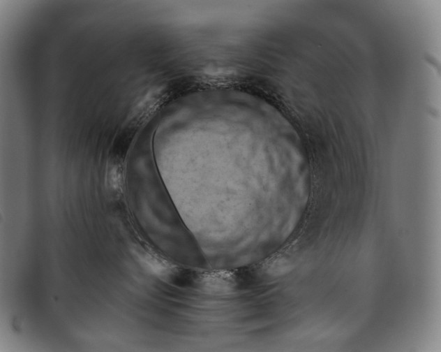 X0000097830576200804041424