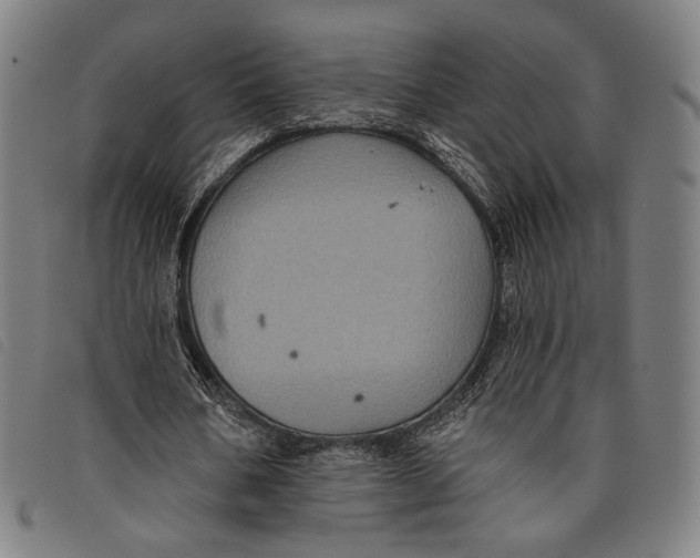 X0000097830578200804041423