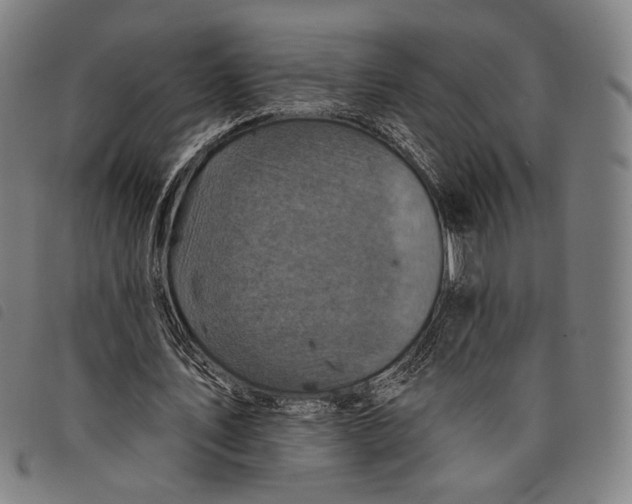 X0000097830579200804041423