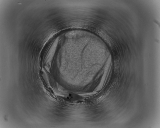 X0000097830580200804041423