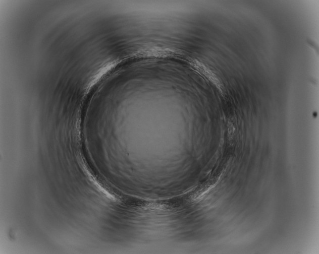 X0000097830581200804041423