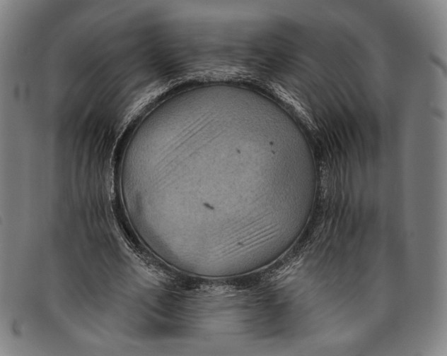 X0000097830582200804041423