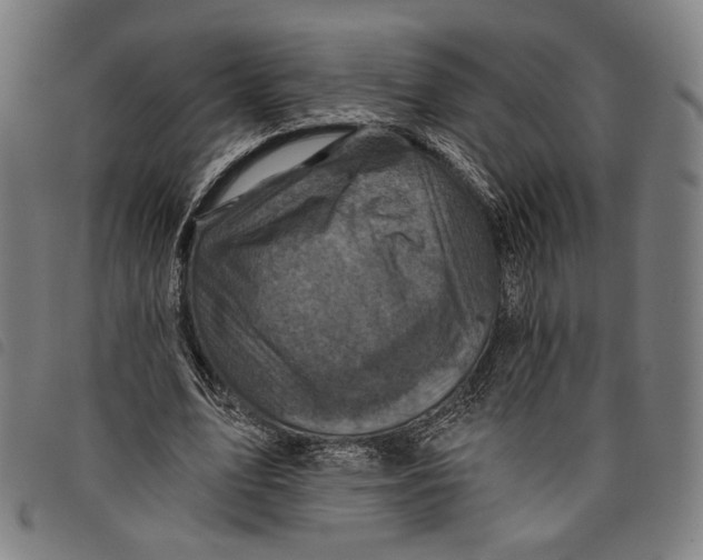 X0000097830583200804041423