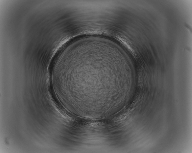 X0000097830584200804041423