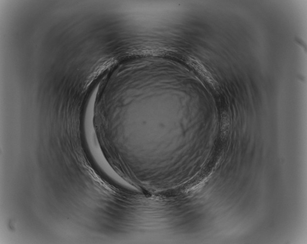 X0000097830585200804041423