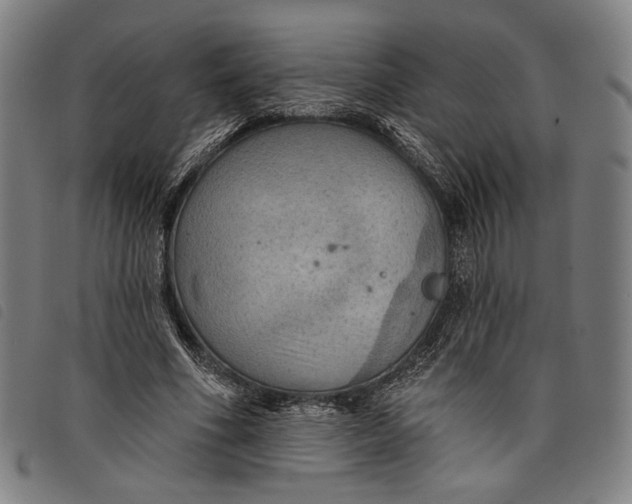 X0000097830586200804041423