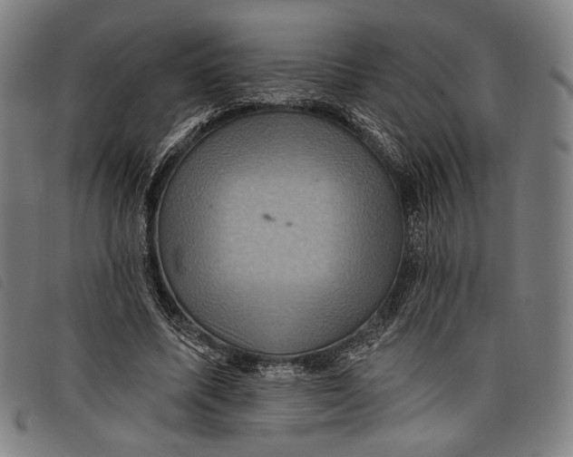 X0000097830587200804041423