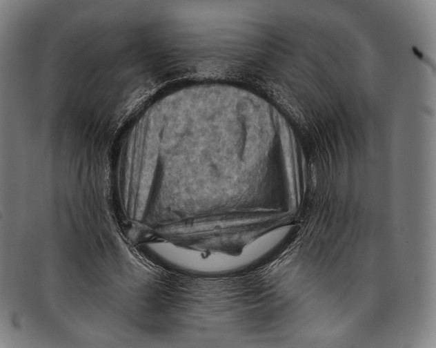 X0000097830588200804041423