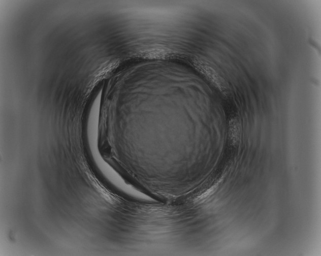 X0000097830589200804041423