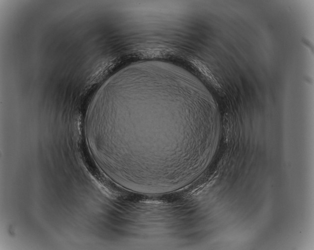 X0000097830590200804041423