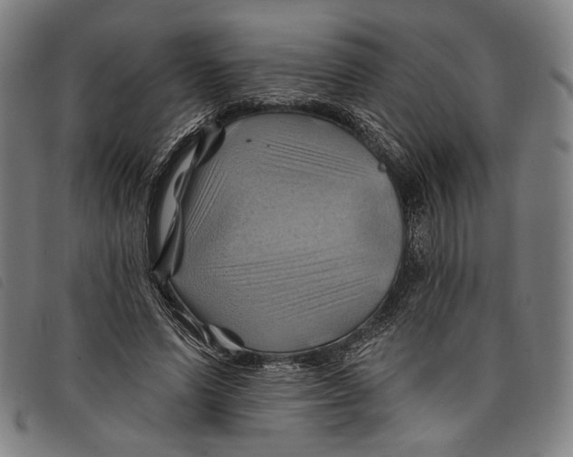 X0000097830591200804041423