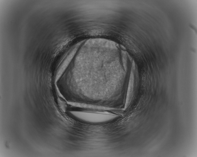 X0000097830592200804041423