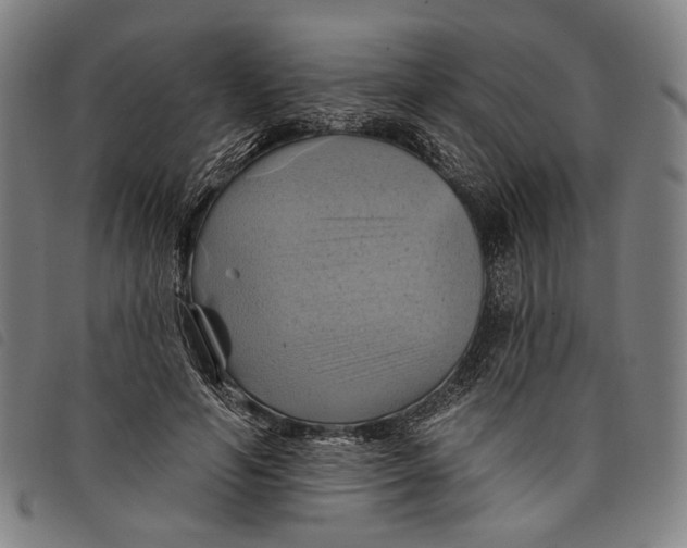 X0000097830594200804041423