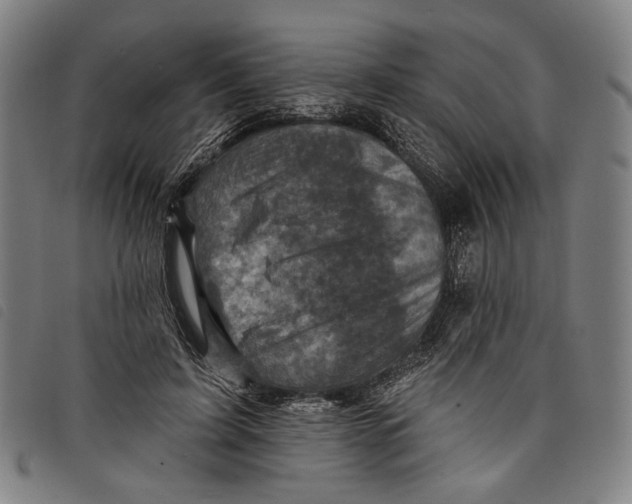 X0000097830595200804041423