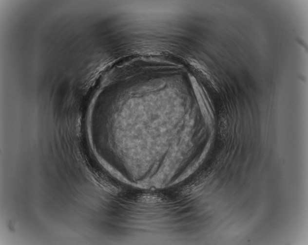 X0000097830596200804041423