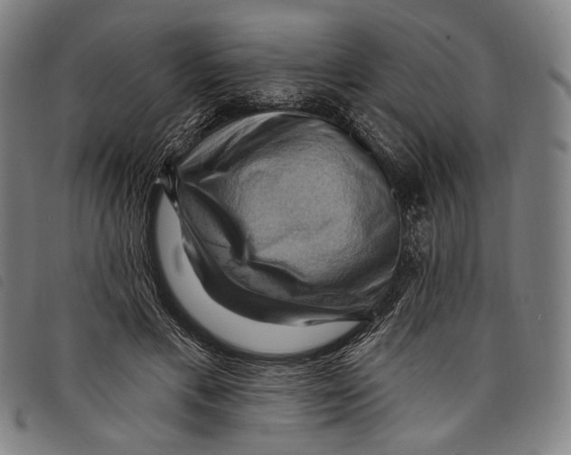 X0000097830597200804041423