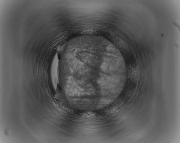 X0000097830599200804041423