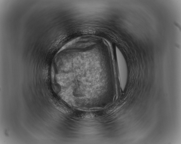 X0000097830600200804041423