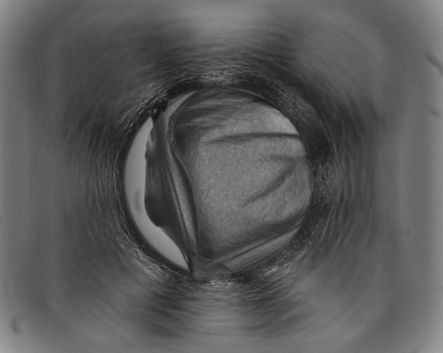 X0000097830601200804041423