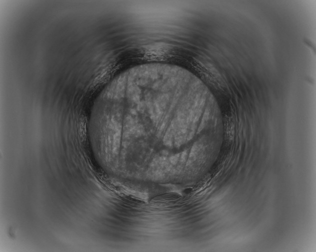 X0000097830603200804041423