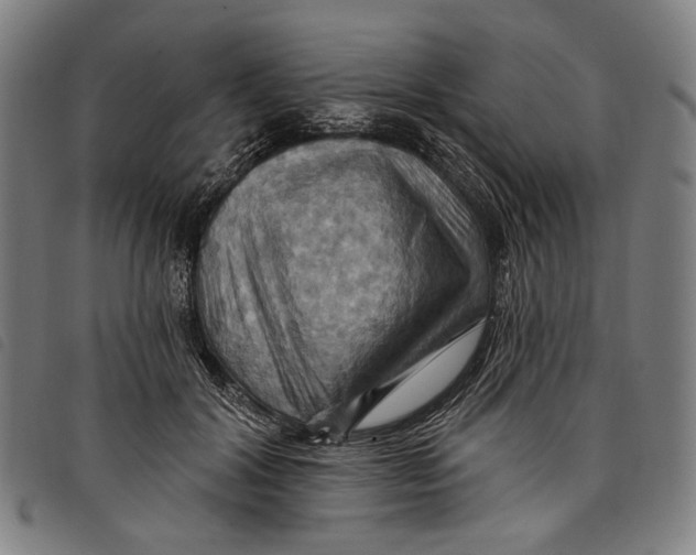 X0000097830604200804041423