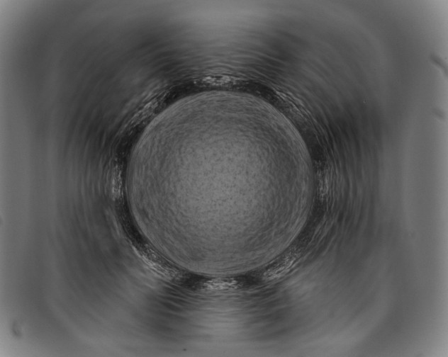 X0000097830606200804041423