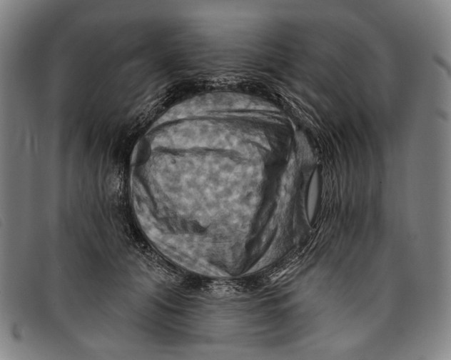 X0000097830608200804041423